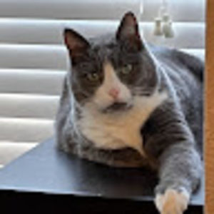 Meet your Posher, Madeline